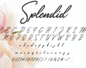 Splendid Wedding Font