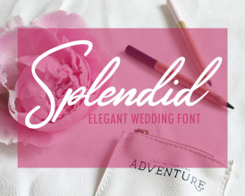 Splendid Wedding Font